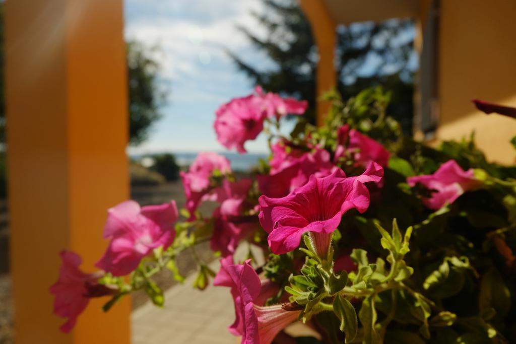 B&B Podere Ospedaletto Μπολσένα Εξωτερικό φωτογραφία